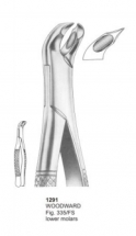  WOODWARD Fig. 335-FS lower molars 